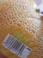 Galia melons