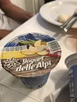 Yogurt delle alpi