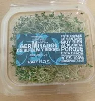 Alfalfa sprouts